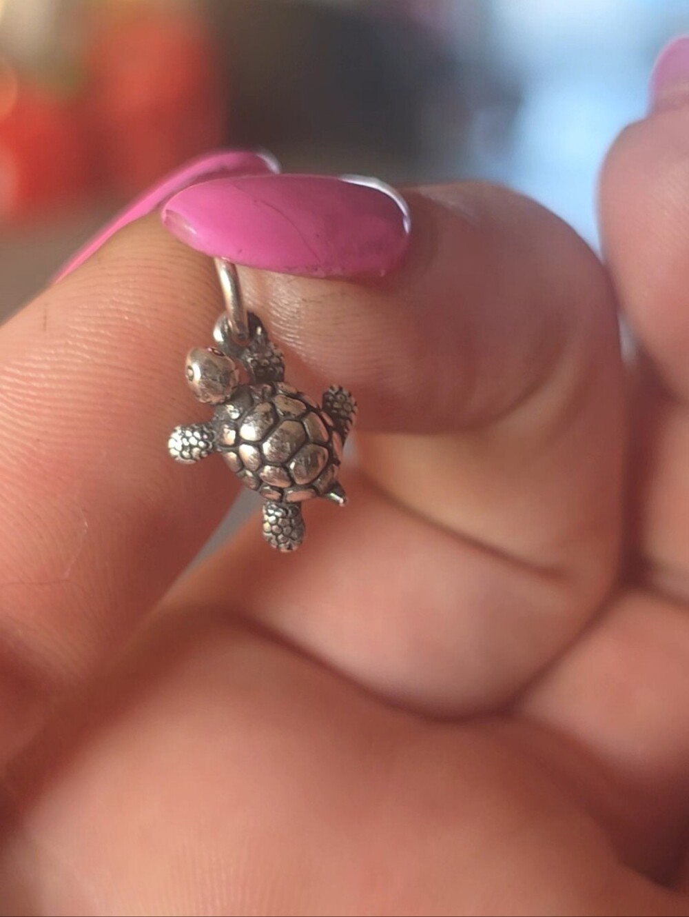 James Avery Sterling Silver Turtle Charm Pendant - Picture 5 of 6